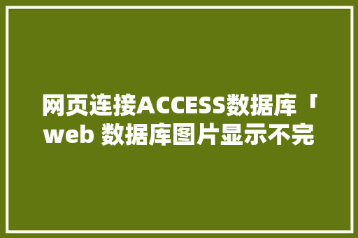 网页连接ACCESS数据库「web 数据库图片显示不完整」 SEO教程