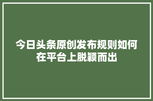 今日头条原创发布规则如何在平台上脱颖而出 建站教程