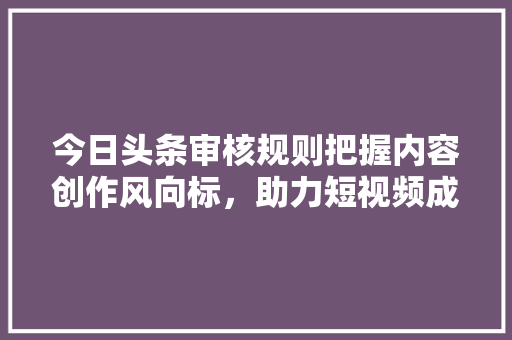 今日头条审核规则把握内容创作风向标，助力短视频成功 建站教程