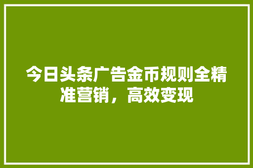今日头条广告金币规则全精准营销，高效变现 Web前端