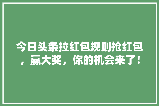 今日头条拉红包规则抢红包，赢大奖，你的机会来了！ 建站教程