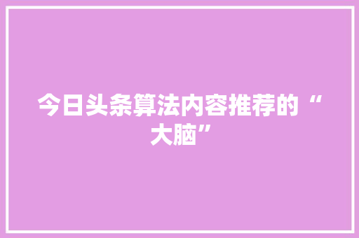 今日头条算法内容推荐的“大脑” 友链在线