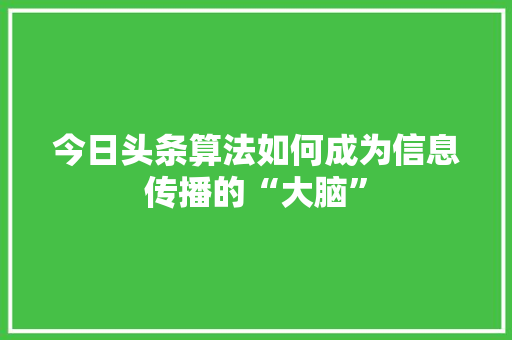今日头条算法如何成为信息传播的“大脑” Web前端