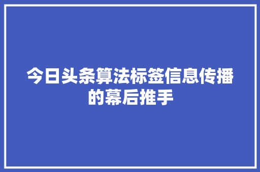 今日头条算法标签信息传播的幕后推手