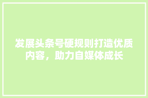 发展头条号硬规则打造优质内容，助力自媒体成长