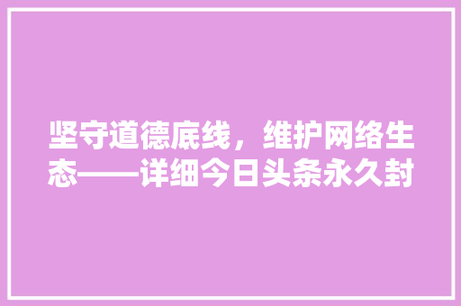坚守道德底线，维护网络生态——详细今日头条永久封禁规则 服务器/数据库