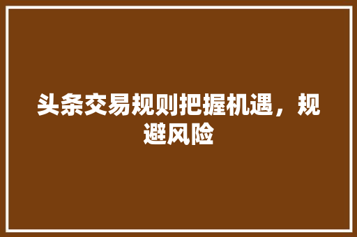头条交易规则把握机遇，规避风险 SEO教程