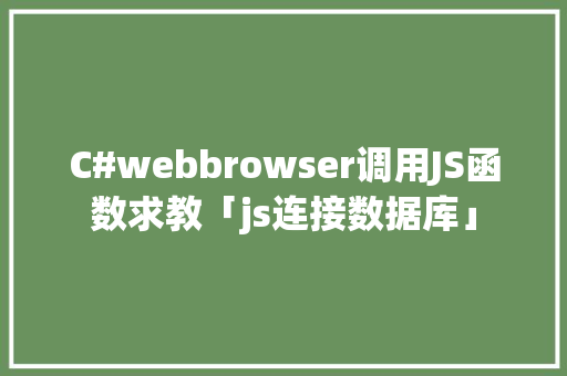 C#webbrowser调用JS函数求教「js连接数据库」