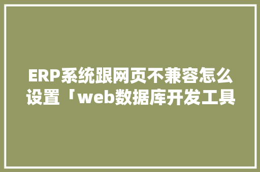ERP系统跟网页不兼容怎么设置「web数据库开发工具」