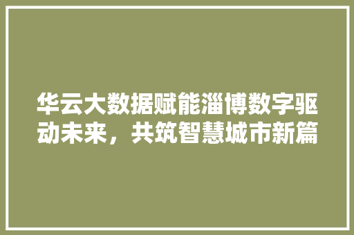 华云大数据赋能淄博数字驱动未来，共筑智慧城市新篇章 建站教程