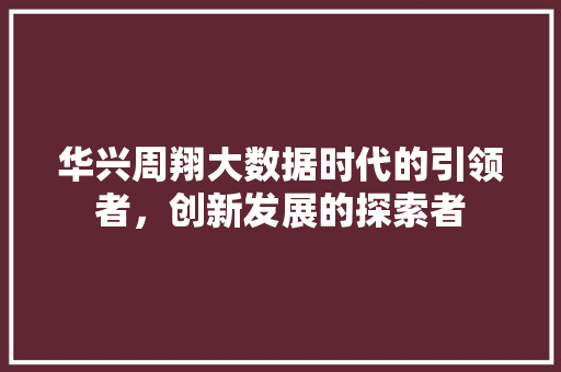 华兴周翔大数据时代的引领者，创新发展的探索者