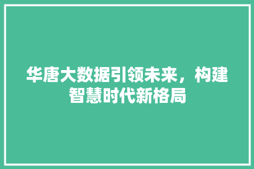 华唐大数据引领未来，构建智慧时代新格局 建站教程