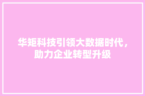 华矩科技引领大数据时代，助力企业转型升级 SEO教程