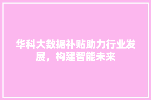 华科大数据补贴助力行业发展，构建智能未来 Web前端