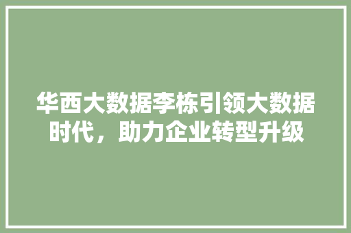 华西大数据李栋引领大数据时代，助力企业转型升级