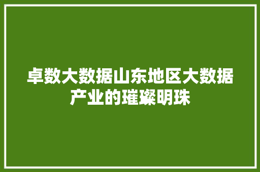 卓数大数据山东地区大数据产业的璀璨明珠