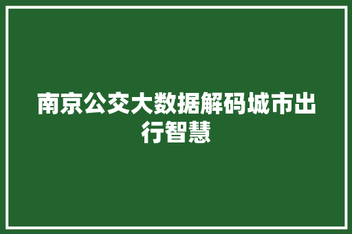 南京公交大数据解码城市出行智慧