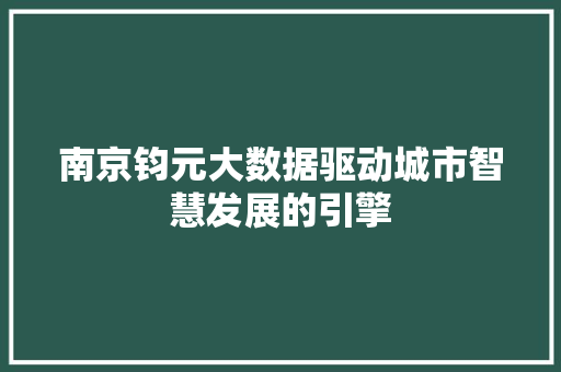 南京钧元大数据驱动城市智慧发展的引擎