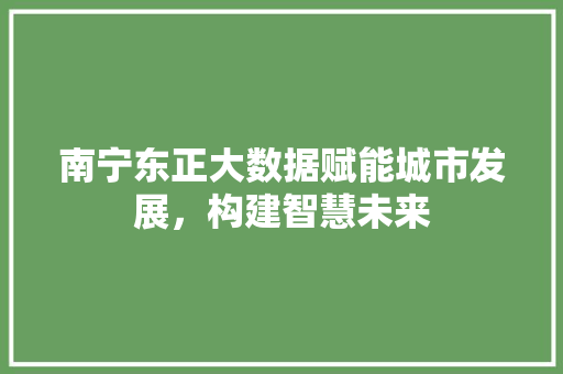 南宁东正大数据赋能城市发展，构建智慧未来 友链在线