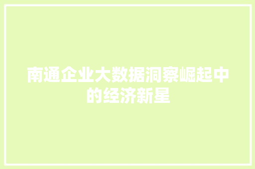 南通企业大数据洞察崛起中的经济新星 SEO教程