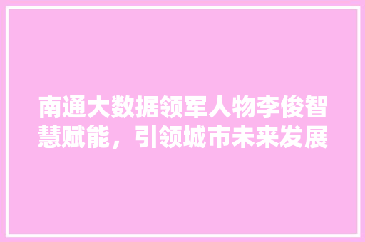 南通大数据领军人物李俊智慧赋能，引领城市未来发展 SEO教程