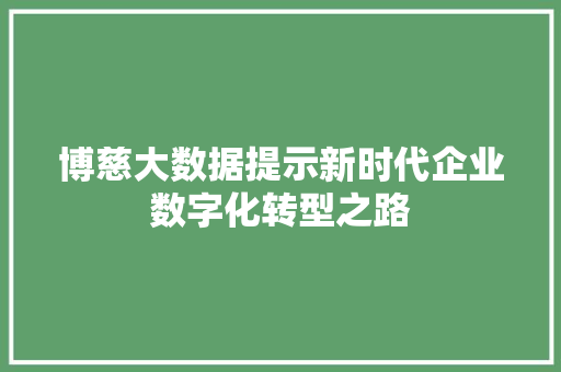 博慈大数据提示新时代企业数字化转型之路 WordPress教程
