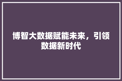 博智大数据赋能未来，引领数据新时代