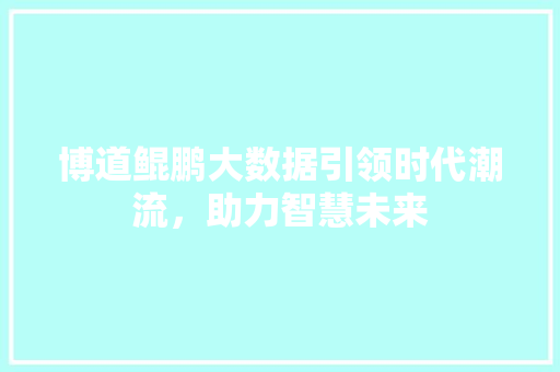 博道鲲鹏大数据引领时代潮流，助力智慧未来