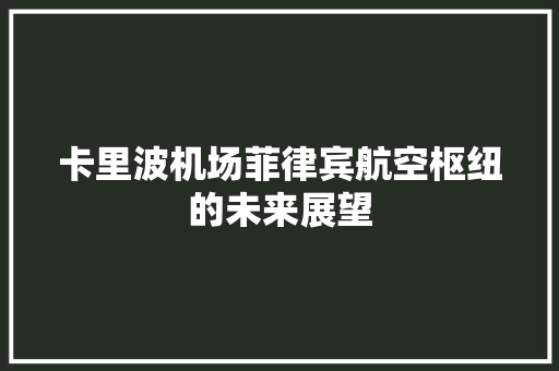 卡里波机场菲律宾航空枢纽的未来展望 Web前端