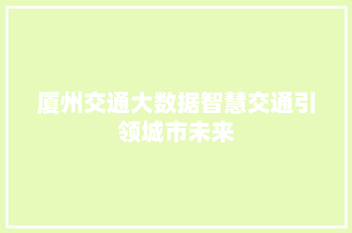 厦州交通大数据智慧交通引领城市未来