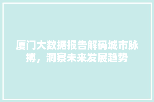 厦门大数据报告解码城市脉搏，洞察未来发展趋势 Web前端