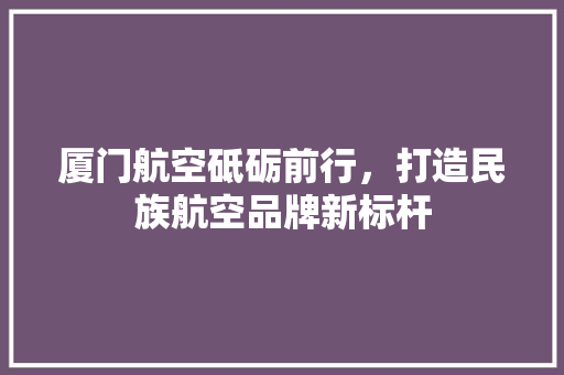 厦门航空砥砺前行，打造民族航空品牌新标杆 服务器/数据库