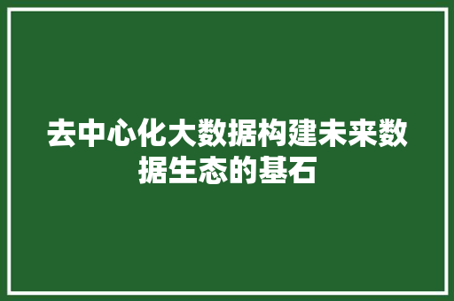 去中心化大数据构建未来数据生态的基石 SEO教程
