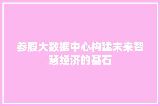 参股大数据中心构建未来智慧经济的基石 友链在线