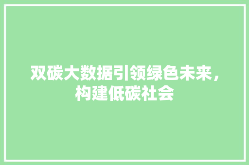 双碳大数据引领绿色未来，构建低碳社会 SEO教程