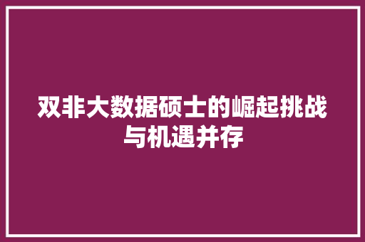双非大数据硕士的崛起挑战与机遇并存 友链在线