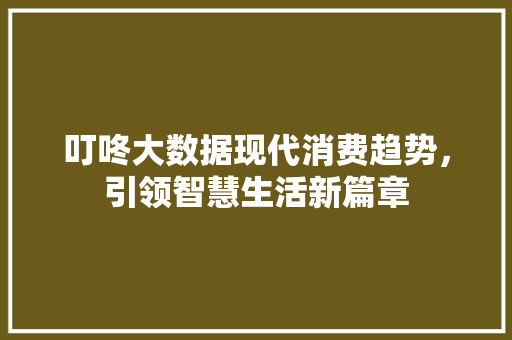 叮咚大数据现代消费趋势，引领智慧生活新篇章
