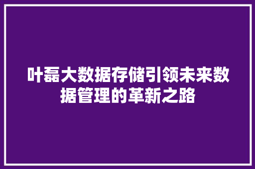 叶磊大数据存储引领未来数据管理的革新之路