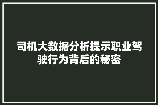 司机大数据分析提示职业驾驶行为背后的秘密
