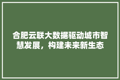 合肥云联大数据驱动城市智慧发展，构建未来新生态