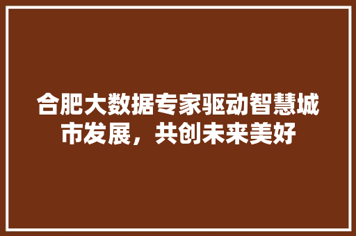 合肥大数据专家驱动智慧城市发展，共创未来美好