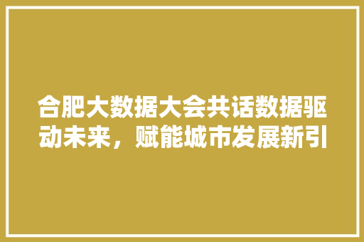 合肥大数据大会共话数据驱动未来，赋能城市发展新引擎