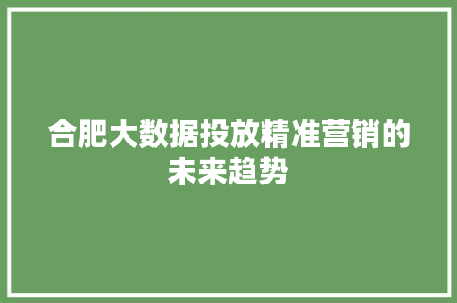合肥大数据投放精准营销的未来趋势 友链在线