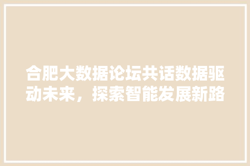 合肥大数据论坛共话数据驱动未来，探索智能发展新路径 Web前端