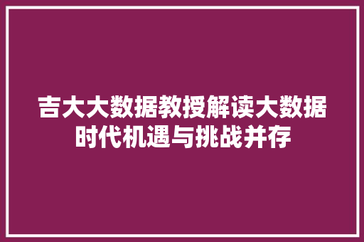 吉大大数据教授解读大数据时代机遇与挑战并存 WordPress教程