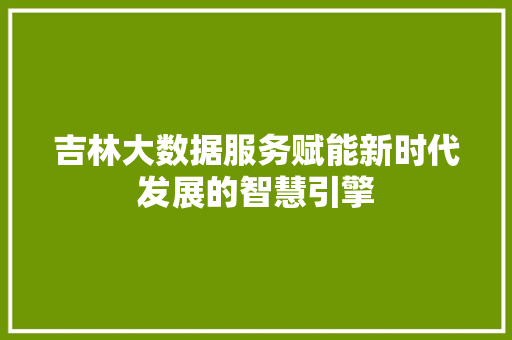 吉林大数据服务赋能新时代发展的智慧引擎