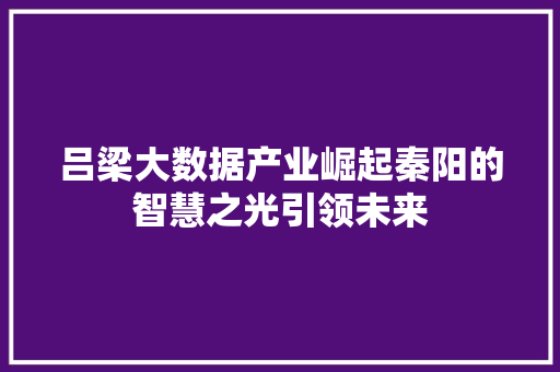 吕梁大数据产业崛起秦阳的智慧之光引领未来