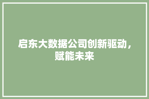 启东大数据公司创新驱动，赋能未来