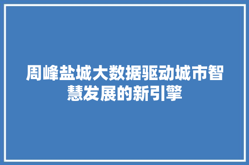 周峰盐城大数据驱动城市智慧发展的新引擎 SEO教程