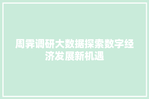 周霁调研大数据探索数字经济发展新机遇 Web前端